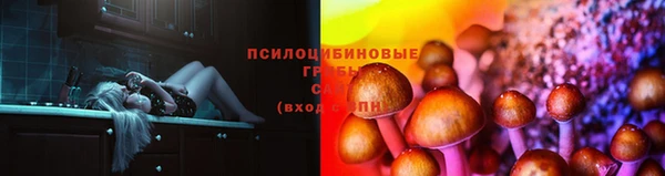 дурь Арсеньев