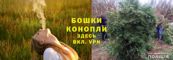 дурь Арсеньев